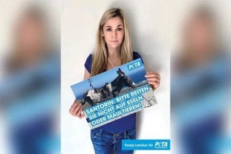 Σαντορίνη: Η Tanja Lanäus αναλαμβάνει δράση υπέρ των βασανισμένων γαϊδουριών