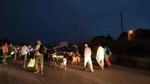 Ειδήσεις,γεωστρατηγική ενημέρωση,Αναλύσεις