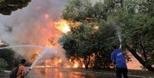 Δραματικές ώρες στις Ροβιές Εύβοιας (Βίντεο) Ειδήσεις,γεωστρατηγική ενημέρωση,Αναλύσεις