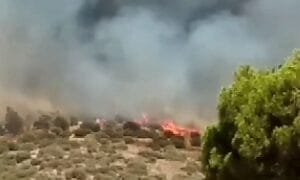 Φωτιά στα Βίλια Αττικής – Εντολή για εκκενώσεις οικισμών Ειδήσεις,γεωστρατηγική ενημέρωση,Αναλύσεις