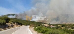 Φωτιά στη νότια Εύβοια… πυροσβεστικές δυνάμεις σπεύδουν στο σημείο Ροή Ειδήσεων
