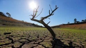 ΟΗΕ: Μια παγκόσμια επισιτιστική κρίση είναι προ των πυλών Ειδήσεις,γεωστρατηγική ενημέρωση,Αναλύσεις