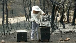 Ειδήσεις,γεωστρατηγική ενημέρωση,Αναλύσεις