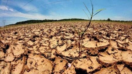Το «τέρας» προελαύνει: Αυτό που συμβαίνει τώρα στη Μαδαγασκάρη έρχεται σύντομα παντού (Βίντεο)