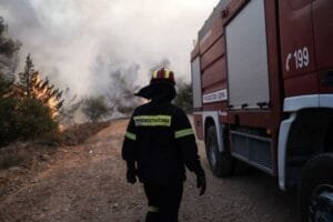 Βίλια: Φωτιά σύμφωνα με την Πυροσβεστική έχει ξεσπάσει κοντά στον οικισμό Προφήτη Ηλία Ειδήσεις,γεωστρατηγική ενημέρωση,Αναλύσεις