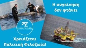Ροή Ειδήσεων
