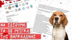Ροή Ειδήσεων