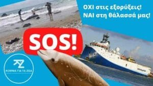 Ροή Ειδήσεων