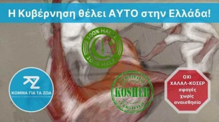 Κόμμα για τα Ζώα: Η νομιμοποίηση της σφαγής ζώων χωρίς αναισθησία δεν θα περάσει!