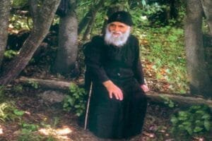 Ροή Ειδήσεων