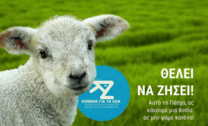 Ροή Ειδήσεων