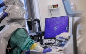 Candida Auris: Ο μύκητας που έχει θέσει σε συναγερμό τα νοσοκομεία Ροή Ειδήσεων