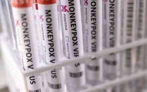 Ευλογιά των πιθήκων: Οι ειδικοί προσπαθούν να καθορίσουν τι έχει προκαλέσει την «ασυνήθιστη κατάσταση» Ροή Ειδήσεων