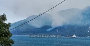 Μεγάλη πυρκαγιά στην Ιστιαία Εύβοιας Ροή Ειδήσεων
