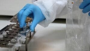 Δύο νέες μεταλλάξεις του κορονοϊού στη Νότια Αφρική, ανακοίνωσε ο Παγκόσμιος Οργανισμός Υγείας. Ροή Ειδήσεων