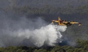Λουτράκι… Μεγάλη φωτιά έχει ξεσπάσει από κεραυνό που έπεσε σε δασική έκταση Ροή Ειδήσεων