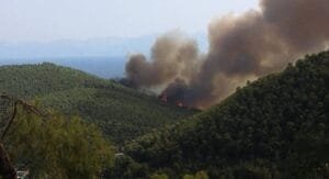 Ροή Ειδήσεων