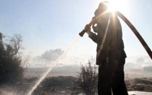 ΑΣΕΠ: Νέα προκήρυξη 1200 προσλήψεων στη Δασοπροστασία (Μόνιμοι και εποχικοί) Ροή Ειδήσεων