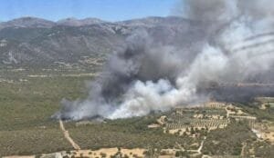 Φωτιά στα Μέγαρα, εκκενώνονται προληπτικά οικισμοί Ροή Ειδήσεων