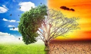 Η επιβολή του παγκόσμιου «πράσινου καπιταλισμού»: Οι αγρότες απαιτούν τα δικαιώματά τους στην Ευρώπη Ροή Ειδήσεων