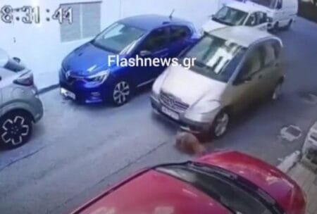 Σοκάρει βίντεο στο Ηράκλειο με οδηγό και θύμα έναν σκύλο (Βίντεο)