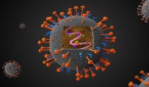 Ιός Nipah στην Ινδία: Συναγερμός στη Δυτική Βεγγάλη μετά από πέντε κρούσματα κοντά στην Καλκούτα Τρισδιάστατη απεικόνιση ιού με γενετικό υλικό