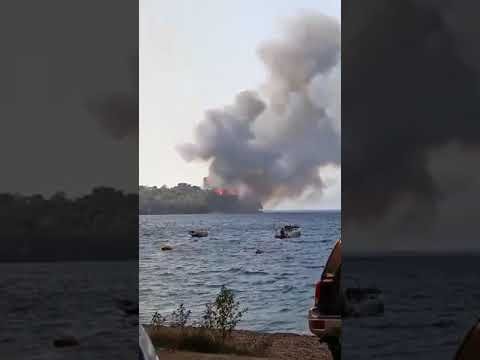 youtube placeholder image