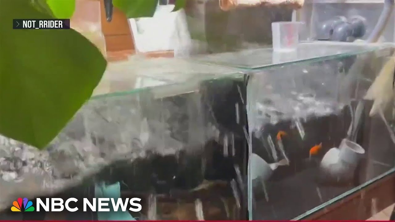 youtube placeholder image