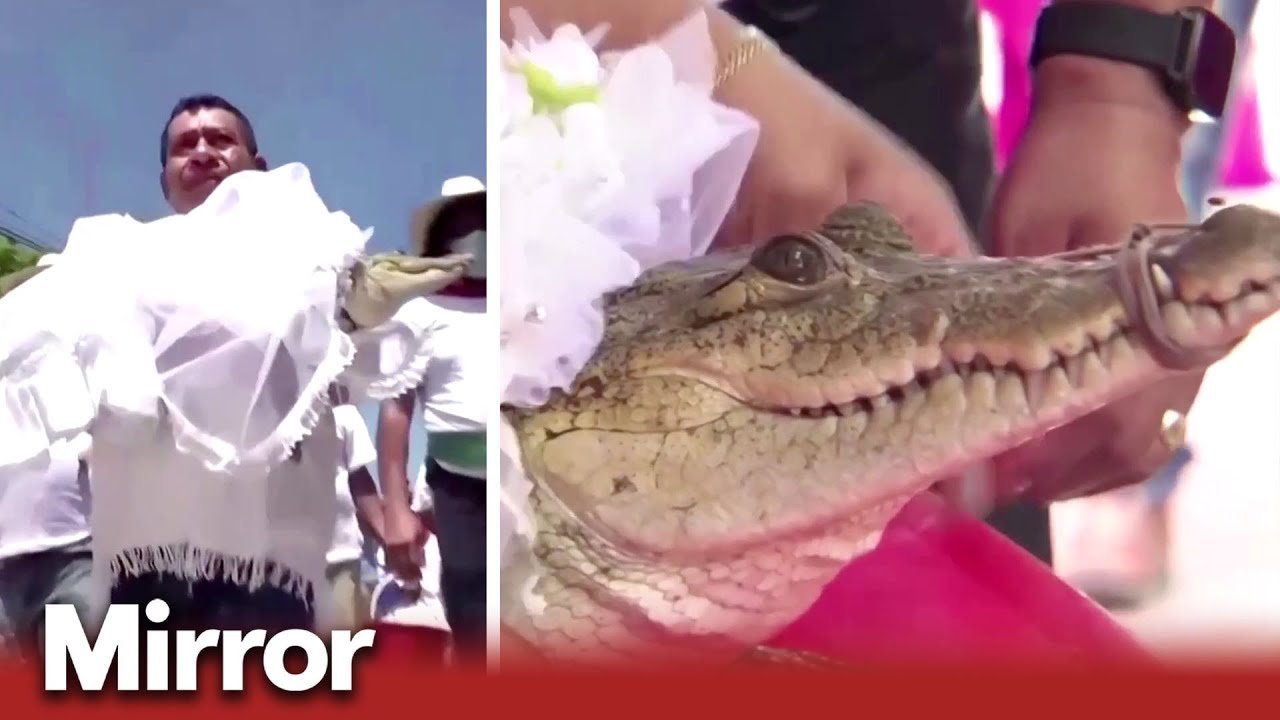 youtube placeholder image