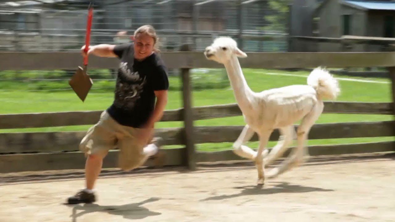 youtube placeholder image