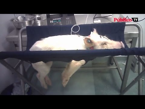 youtube placeholder image