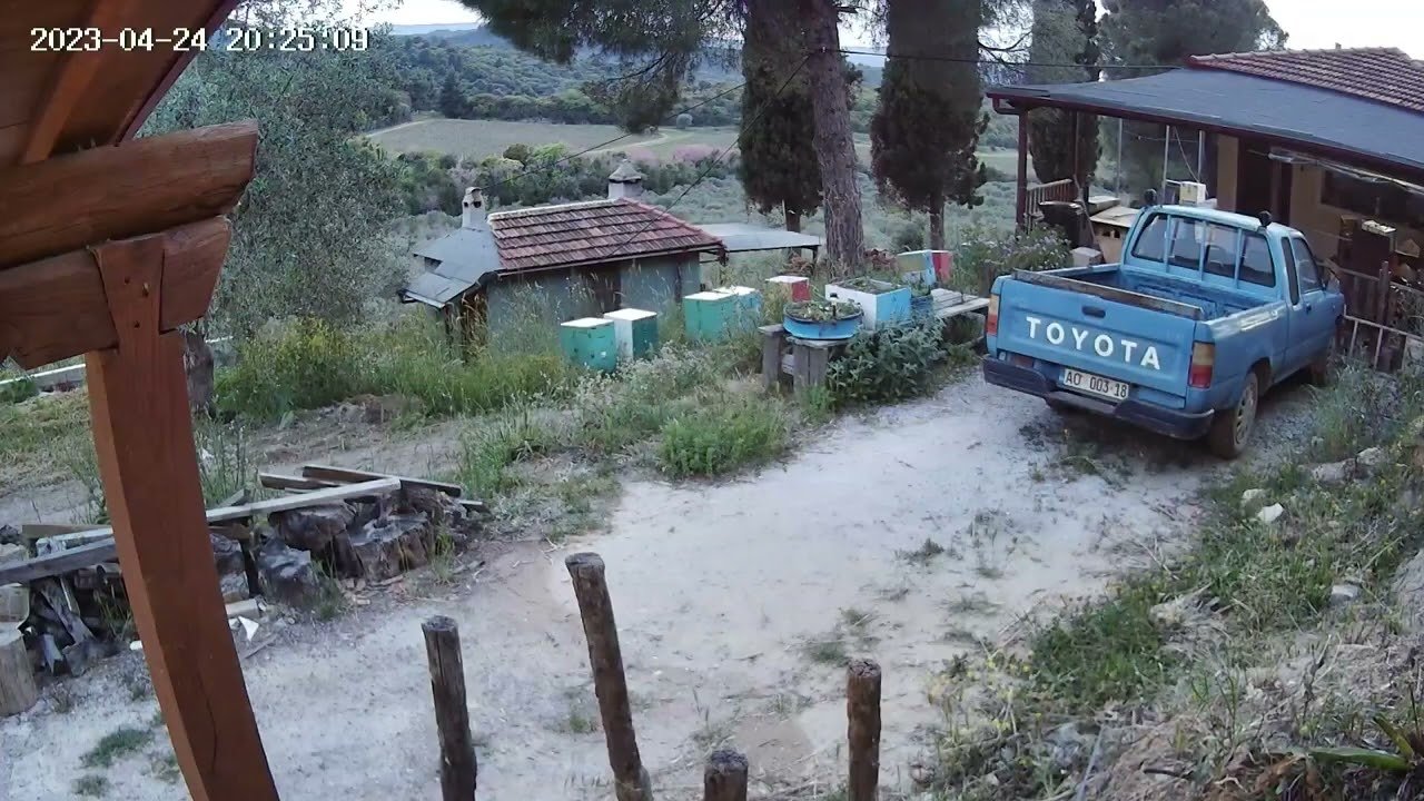 youtube placeholder image