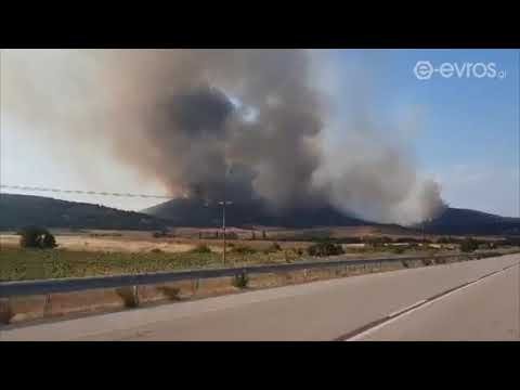 youtube placeholder image